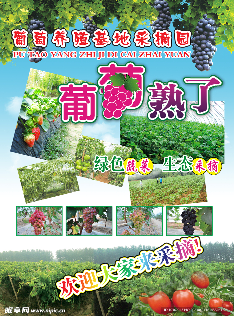 采摘园