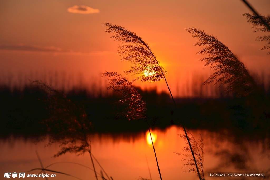夕阳美景