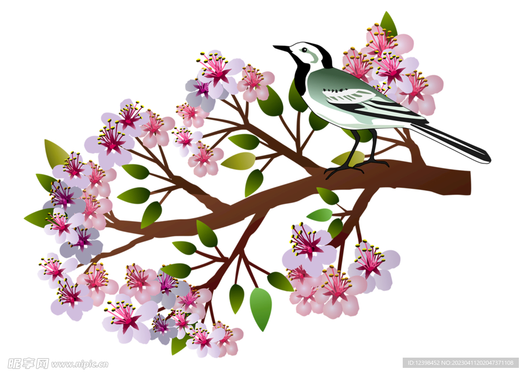 花鸟图案