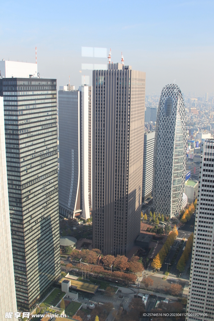 城市