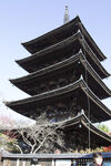 京都五重塔