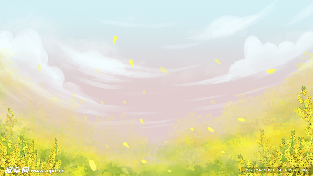  油菜花背景
