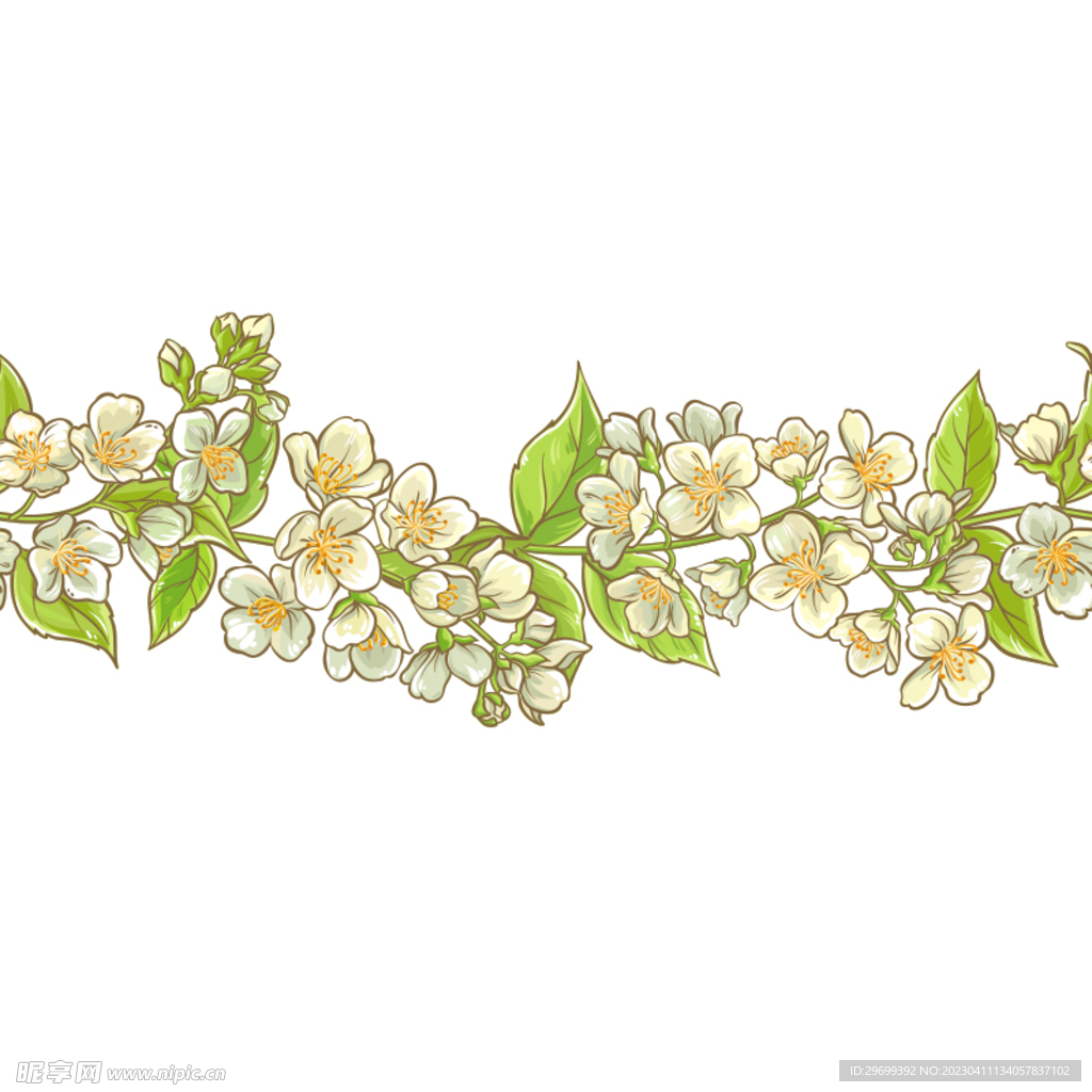叶子花卉
