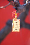 北京戒台寺新春寺庙祈福平安无事