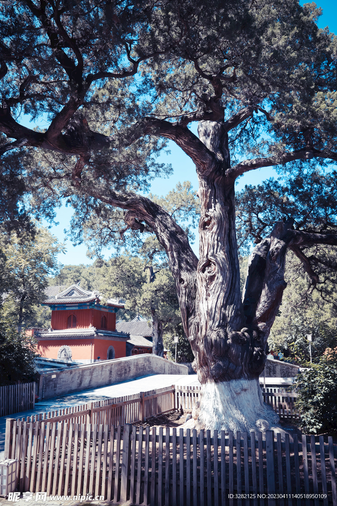 北京西山古刹大觉寺