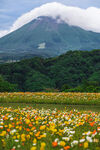 火山