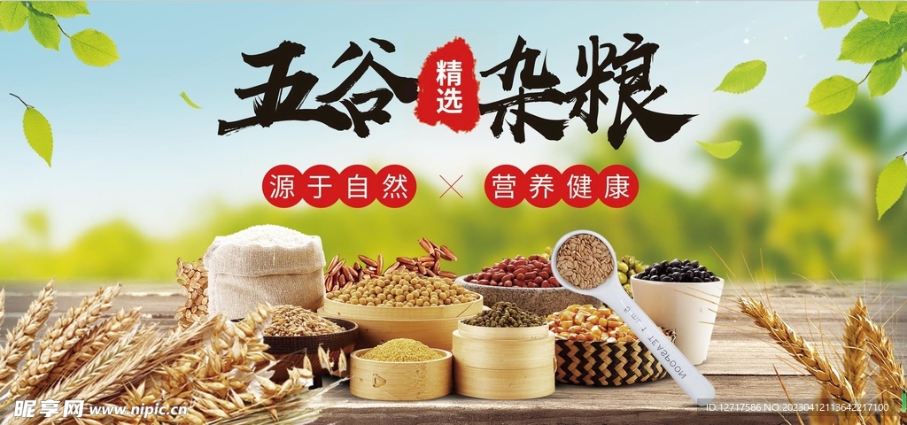 五谷杂粮 绿色健康食材