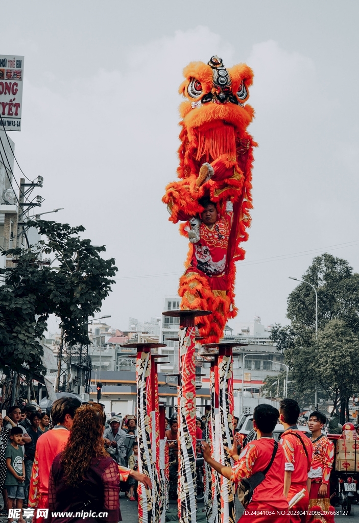 龙虎舞狮中国风喜庆节日