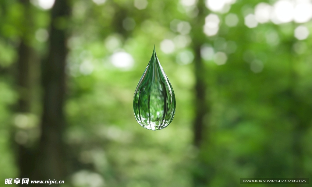 森林水滴水珠绿色高清图片