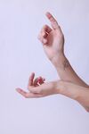 手持手模高清手举双手