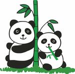 吃竹子的熊猫宝宝