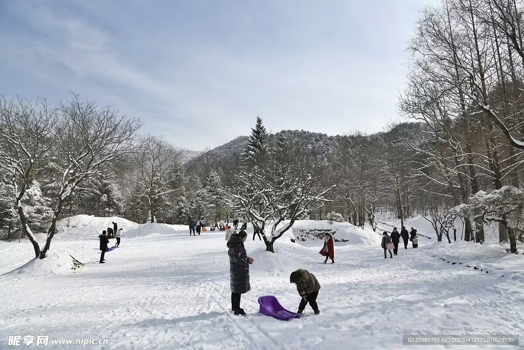 麦积山的冬天