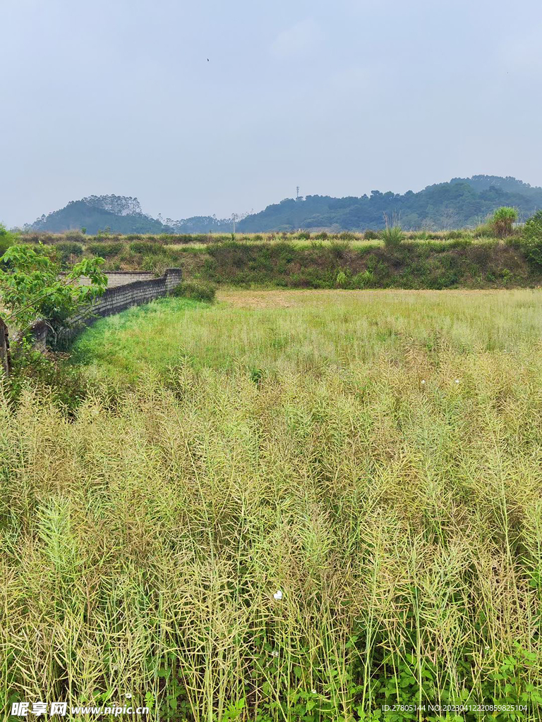 田野美景