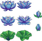 荷花