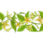 叶子小花
