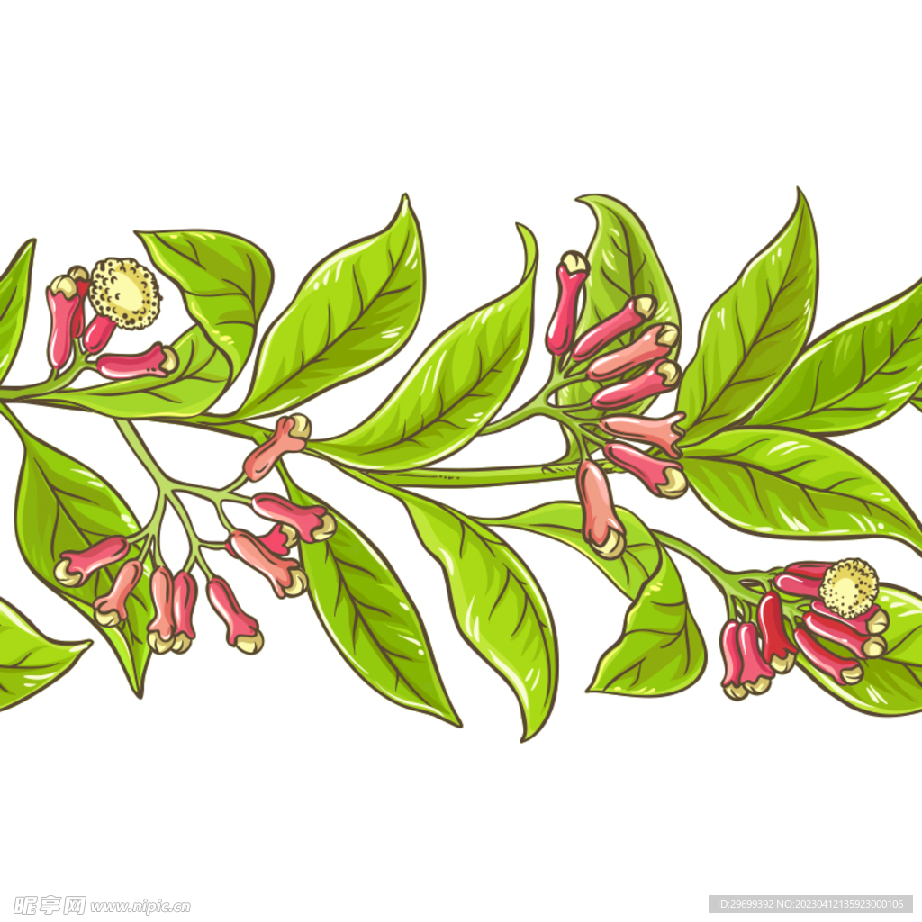 叶子小花