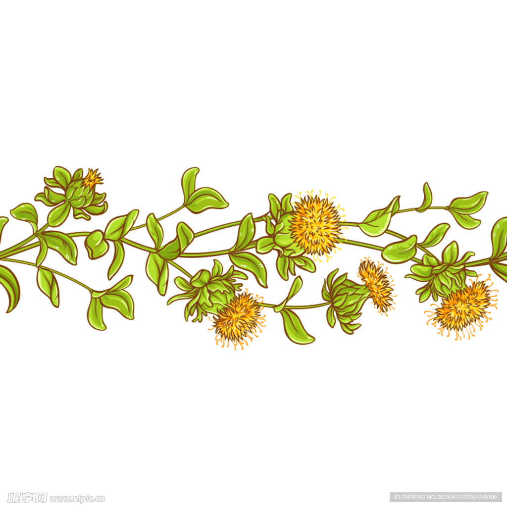 叶子小花