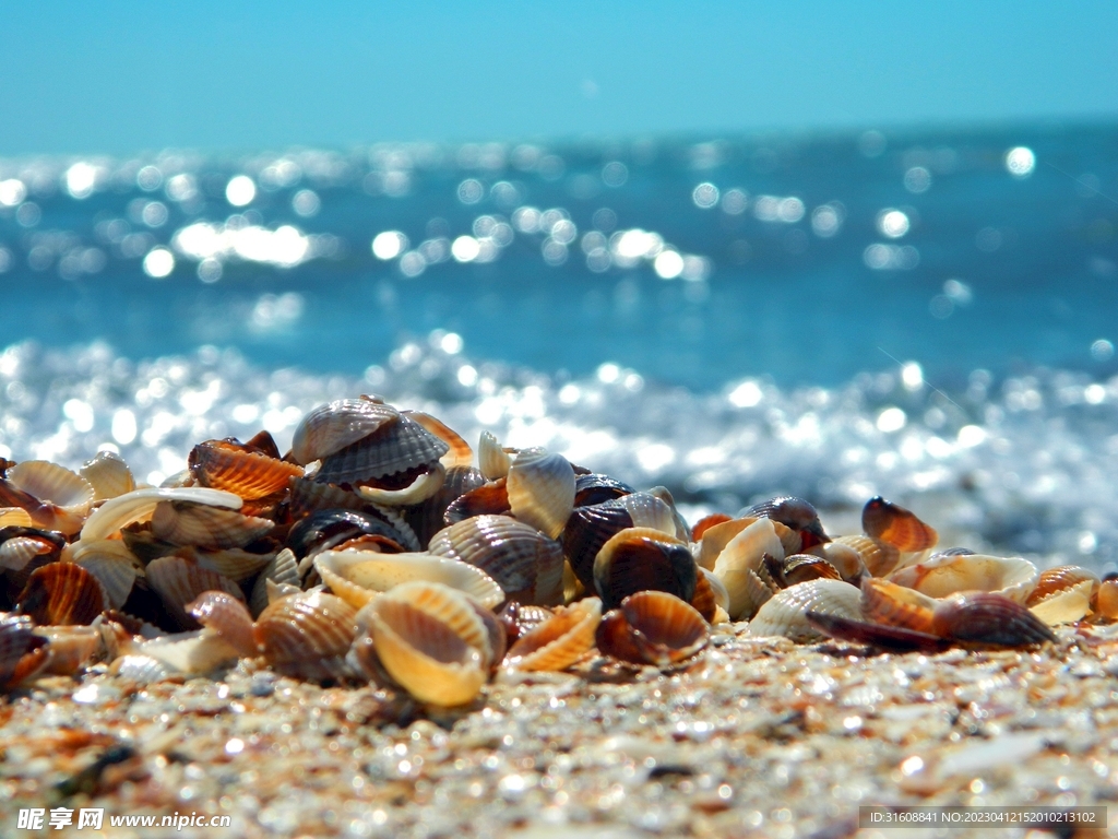 夏天海浪沙滩