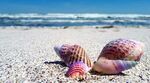 夏天海浪沙滩