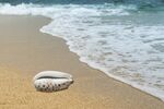 夏天海浪沙滩 