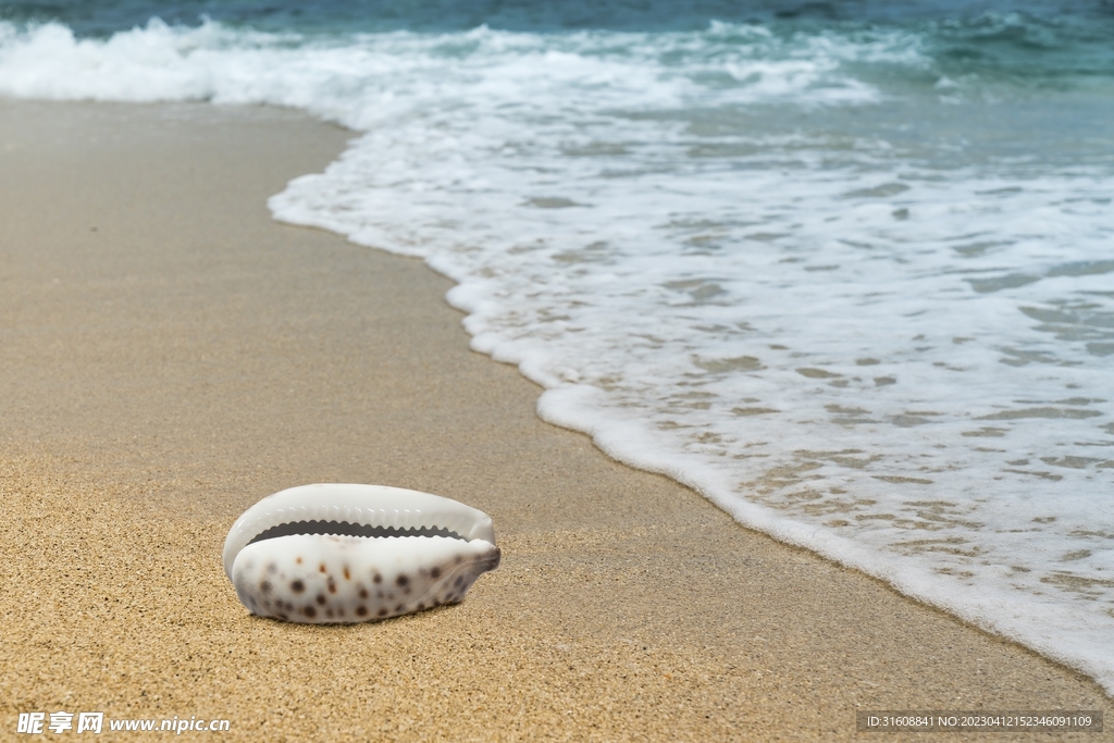 夏天海浪沙滩 