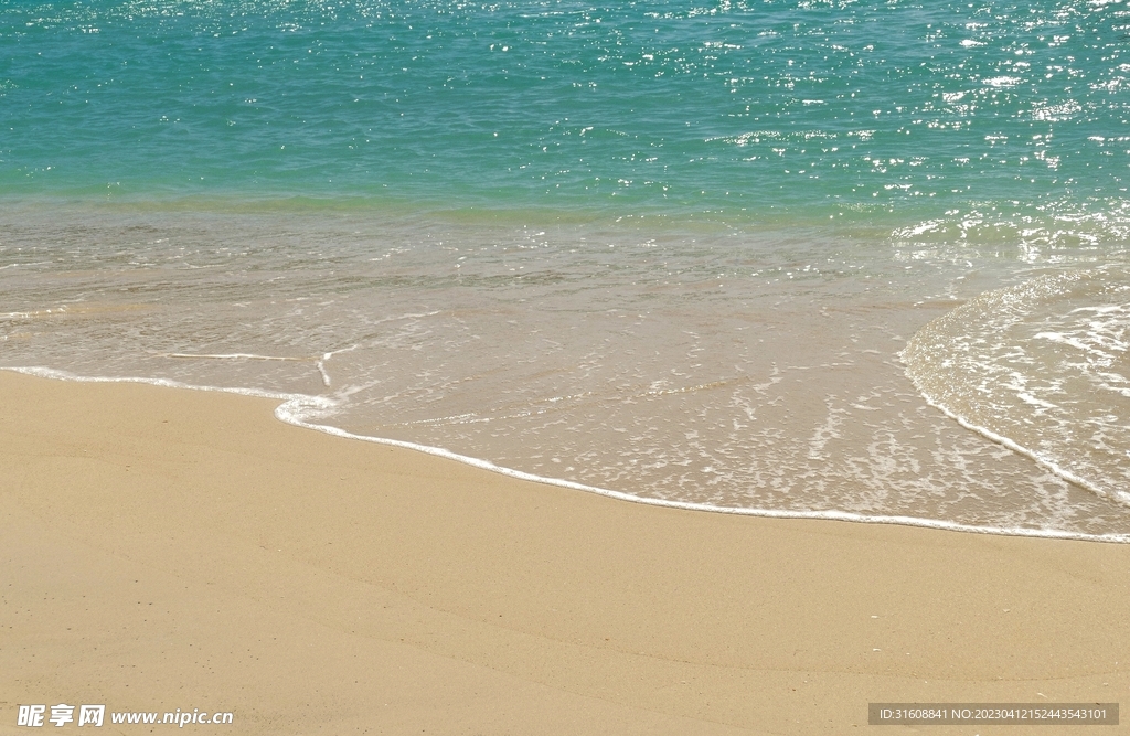 夏天海浪沙滩海洋