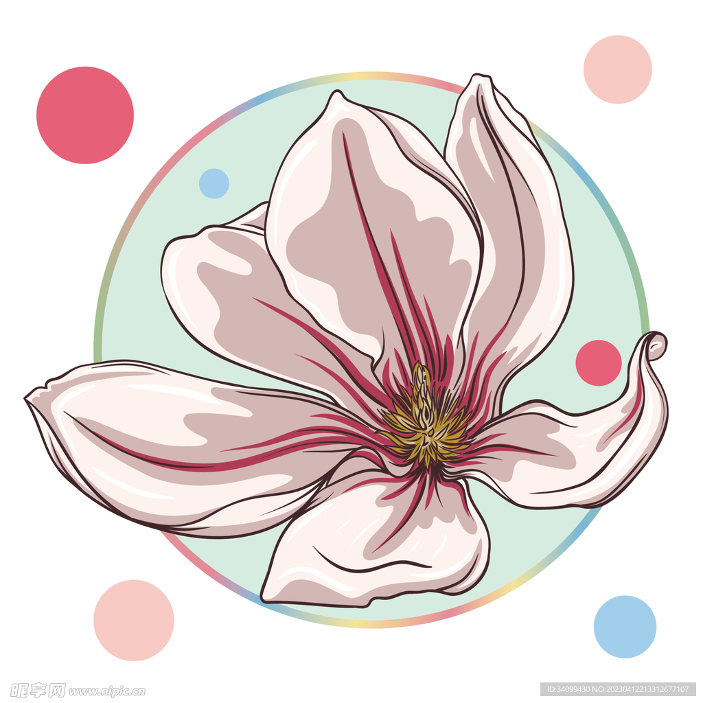 卡通玉兰花