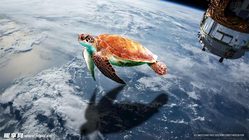 太空漫游的海龟特效合成图