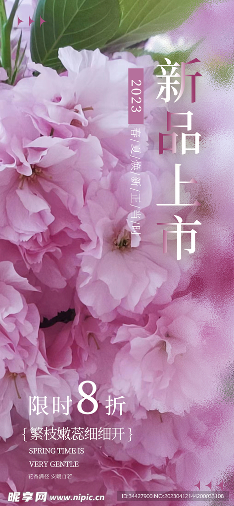 新品上市