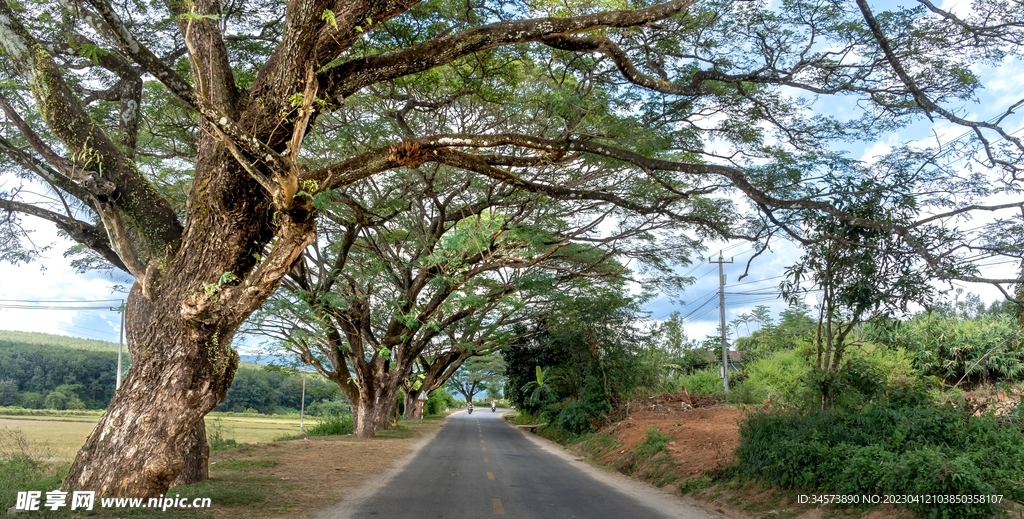 乡村道路