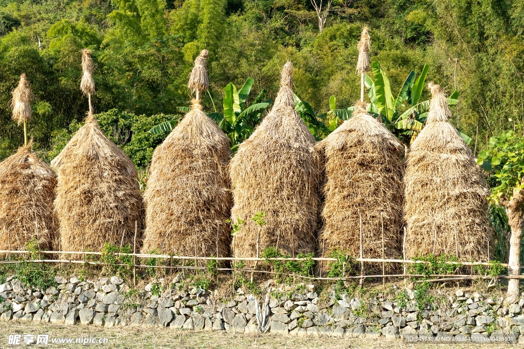 田边草垛