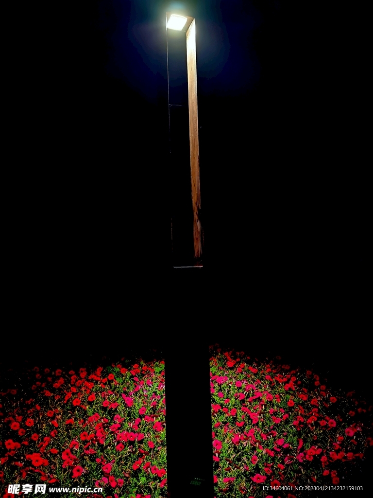 路灯下的红花