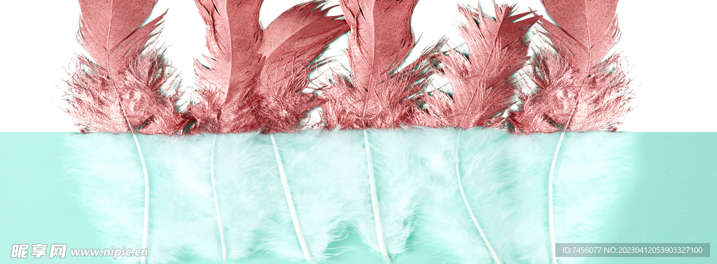 羽毛水平面艺术挂画装饰画