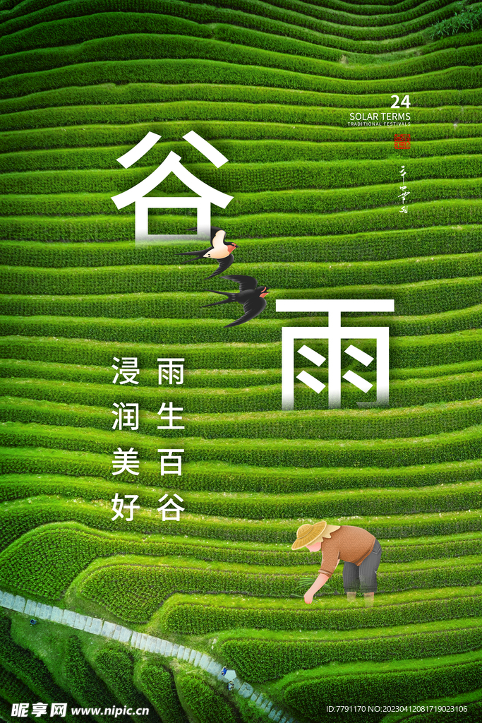 谷雨