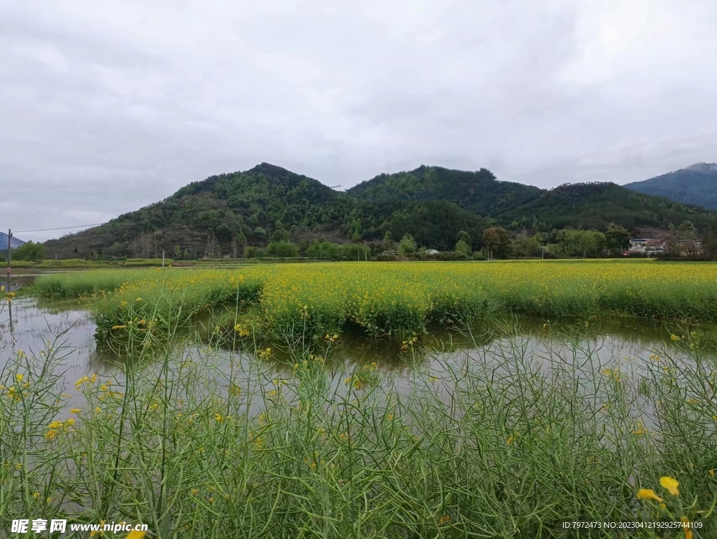 田园风光