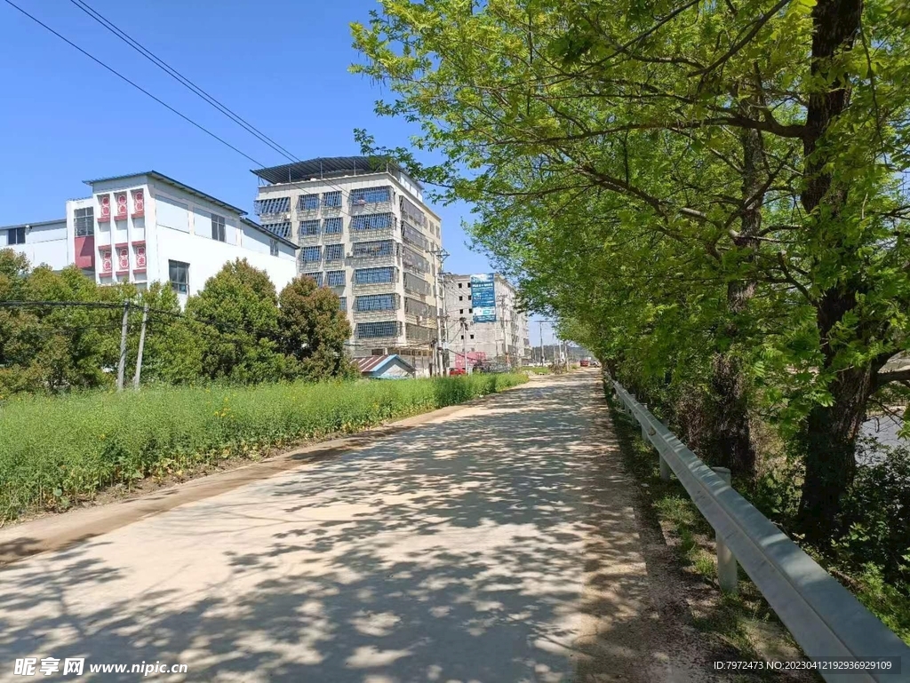 小镇道路