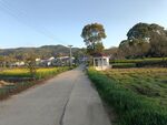 田园风光