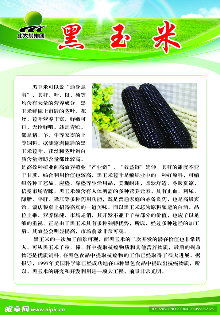 黑玉米