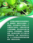 绿色