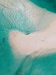 海水