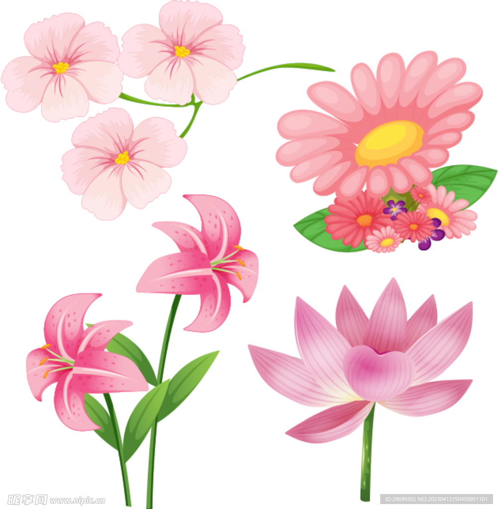 水彩花卉
