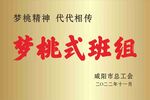 铜牌