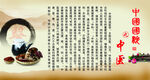 中国国粹  中医