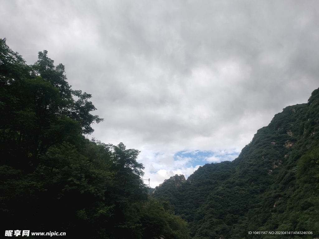 山林