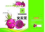 火龙果