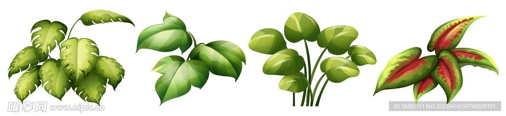 时尚嫩绿植物叶子素材