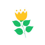 小清新花边 