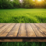 草地上的木桌板