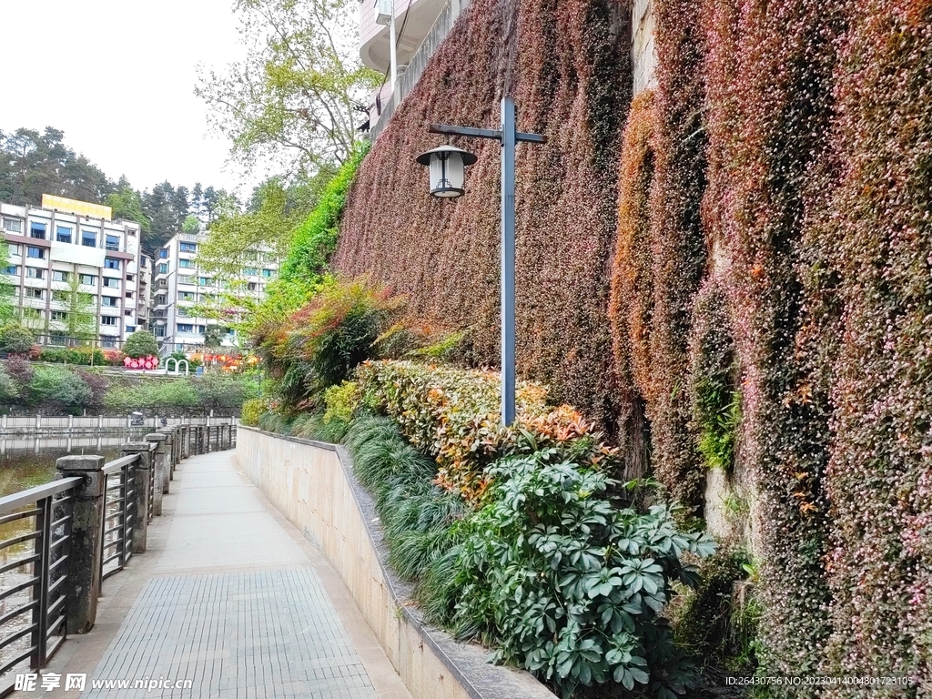 湘江河道旁路灯