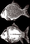 卡通画